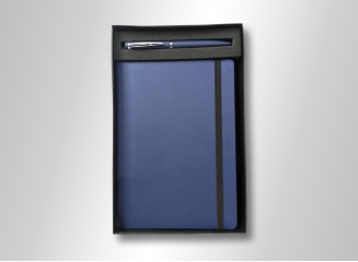 2 in 1 Blue
